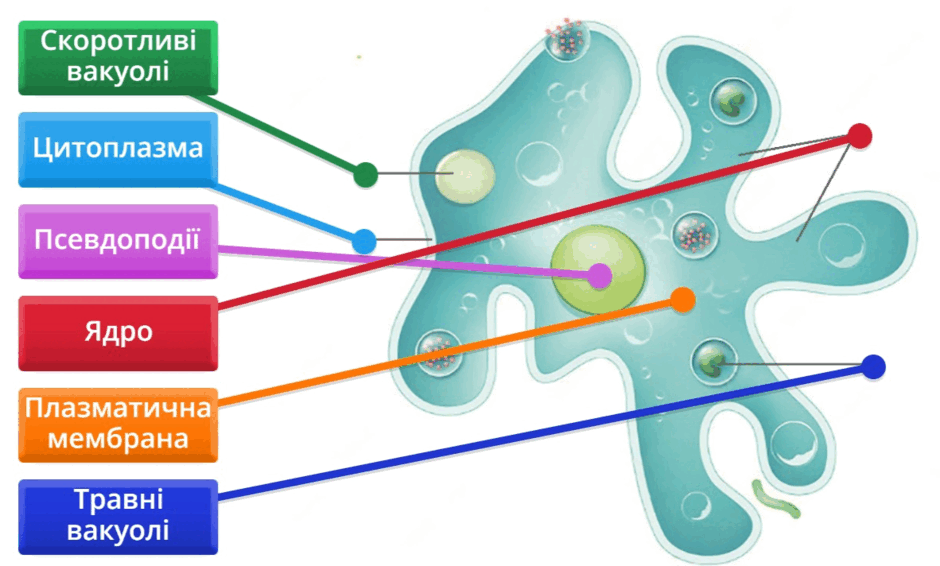 06029kl5-6bef-940x566.png