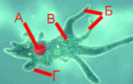 06029kp0-e538-193x122.png