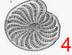06029kx0-f34e-146x112.png