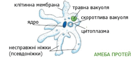 06029l3j-b0fe-428x190.png