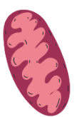06029lde-a477-118x164.png