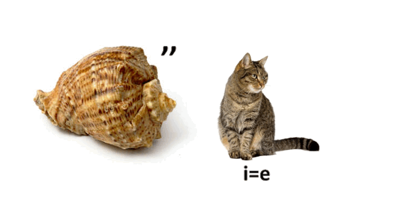 06029lvz-9494-580x308.png