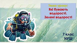 Презентація з біології для учнів 7 класу НУШ. Тема уроку: Які бувають водорості.  Зелені водорості