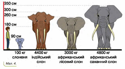 06029mng-e69e-530x296.png