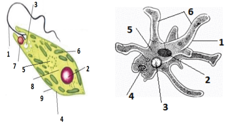 06029nbv-9343-861x467.png