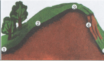 06029o0b-6910-335x196.png