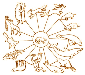 06029p8m-95e9-286x254.png