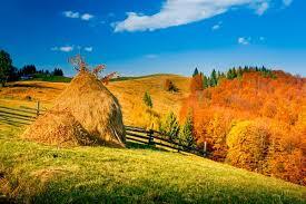 Природа україни картинки, стокові Природа україни фотографії, зображення | Скачати з Depositphotos