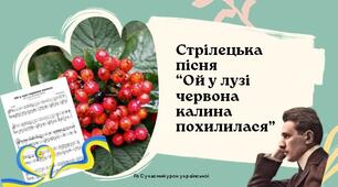 Пісні літературного походження. Стрілецька пісня "Ой у лузі червона калина похилилася". Чарнецький, Трух Презентація 6 НУШ