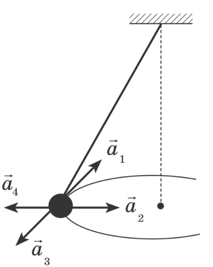 06029w2t-47d7-431x540.png