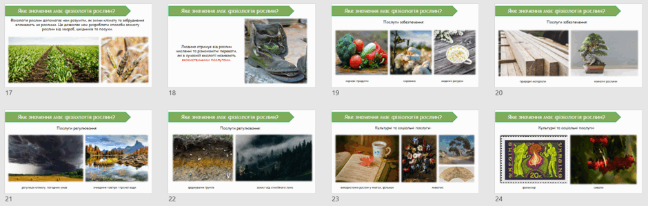 06029z6t-c783-940x299.png