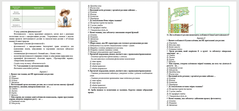 06029z8p-dfd1-940x438.png