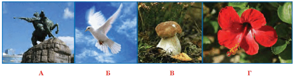 0602a28j-9f00-940x251.png