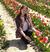 0602a2t2-70b3-50x52.jpg