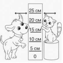 0602a2uo-84c1-218x218.png