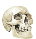 0602a36j-6ecf-125x134.png