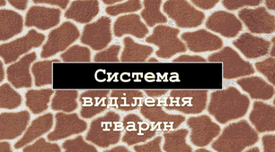 Презентація "Система виділення тварин"