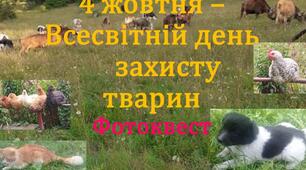 Фотоквест "4 жовтня - Всесвітній день захисту тварин"