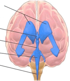0602a8uz-8164-241x277.png