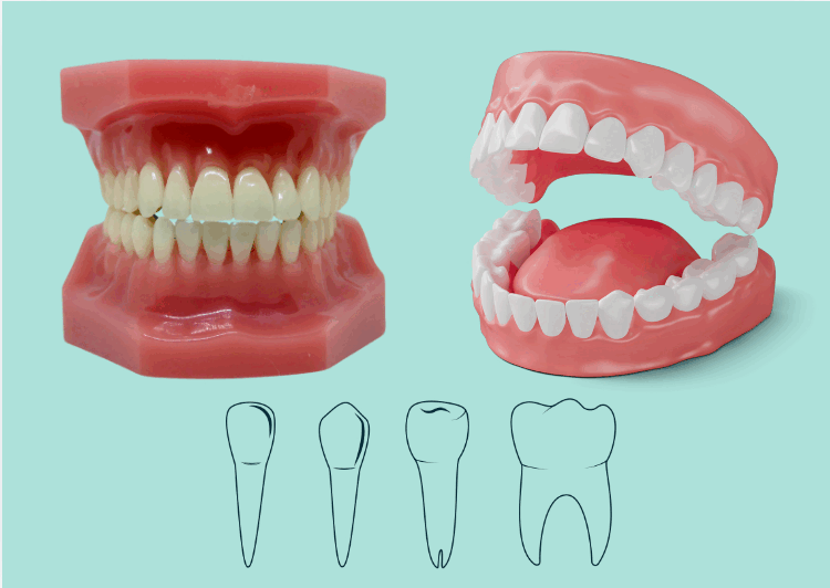 0602a9a4-9a54-750x532.png