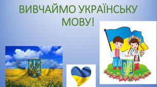 Діагностична  перевірочна робота
