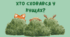 Дидактична гра "Хто сховався у кущах?" (розвиток мислення, уваги)