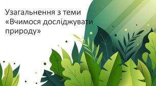 Діагностична робота з теми "Вчимося досліджувати природу" 5 клас НУШ