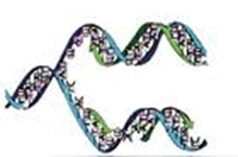 0602ahzb-41a5-219x145.png