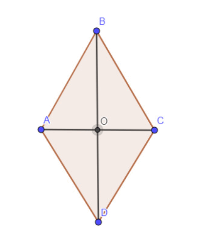0602alid-026d-406x474.png