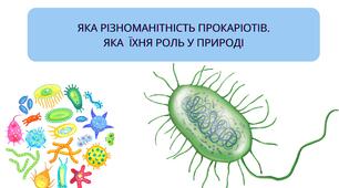 Презентація на тему: "Яка різноманітність прокаріотів. Яка  їхня роль у природі" з біології 7 клас НУШ