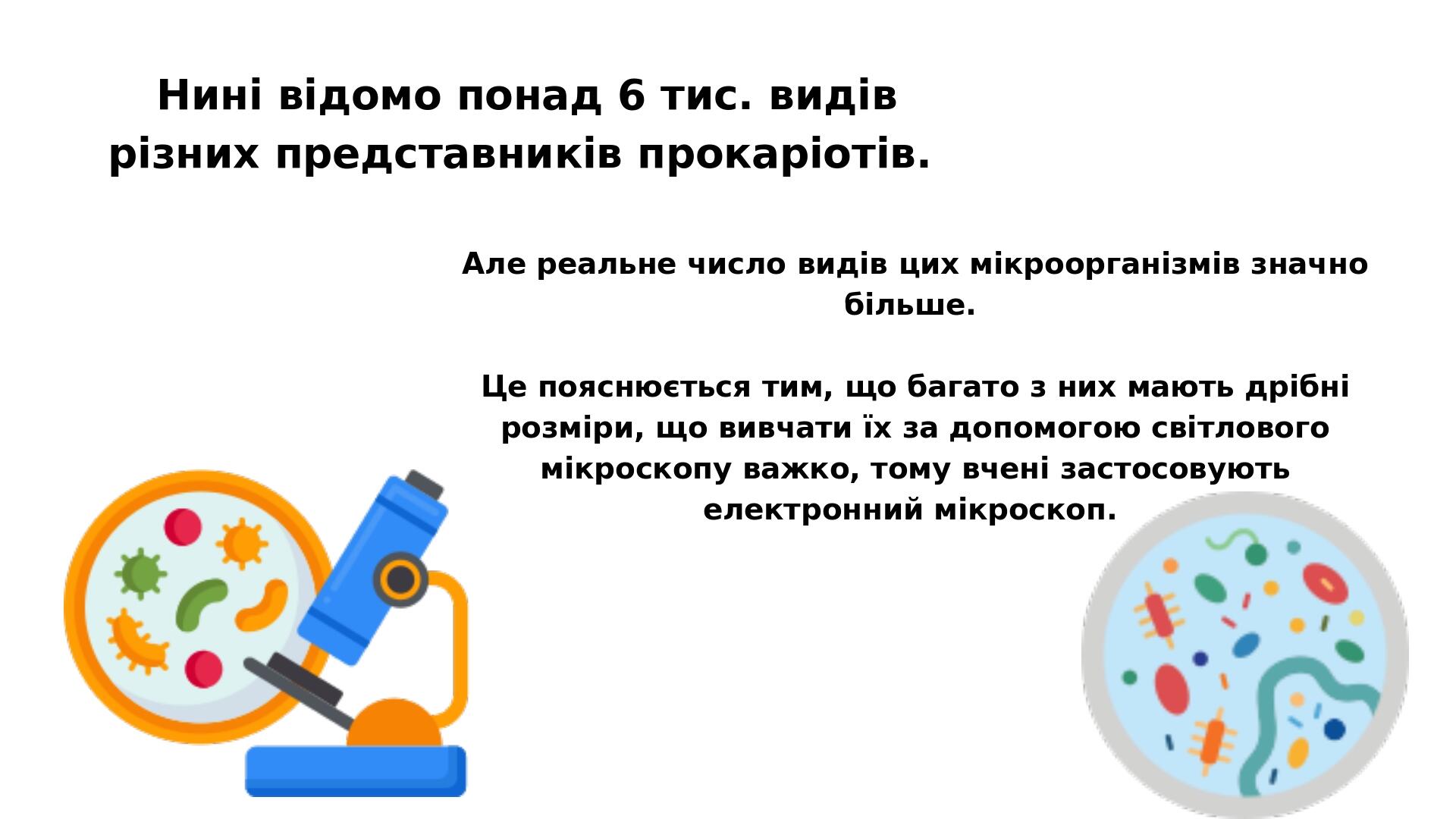 Але реальне число видів цих мікроорганізмів значно більше. Це пояснюється тим, що багато з них мають дрібні розміри, що вивчати їх за допомогою сві...