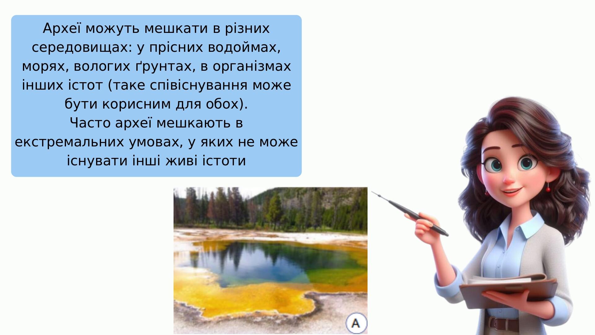 Археї можуть мешкати в різних середовищах: у прісних водоймах, морях, вологих ґрунтах, в організмах інших істот (таке співіснування може бути корис...