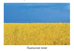 0602apwu-7ec6-316x218.png
