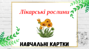 Лікарські рослини