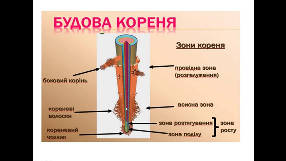 0602arlt-ee39-940x529.jpg
