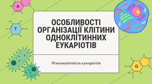 Особливості організації клітини одноклітинних еукаріотів. Різноманітність еукаріотів. 7 клас НУШ