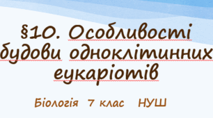 Презентація  "Особливості будови одноклітинних еукаріотів"    7клас    НУШ