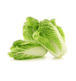 0500gyv5-ed74-152x162.png