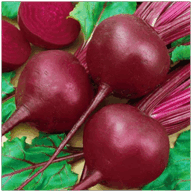0500gyum-19c2-192x192.png