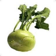 0500gyva-07a3-193x193.png