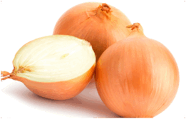 0500gyuj-f29c-261x167.png