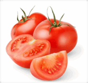 0500gysu-2556-181x169.png