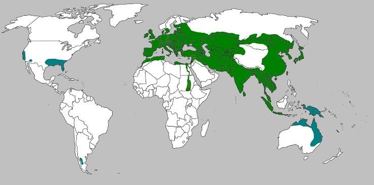 0602aycc-0b0d-740x367.jpg