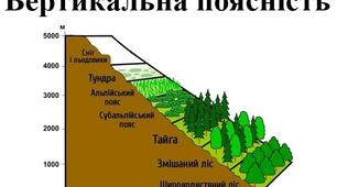 Презентація з географії для 7 класу НУШ на тему " Вертикальна поясність" за програмою Запотоцького С