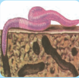 0602b27u-4e9b-300x295.png