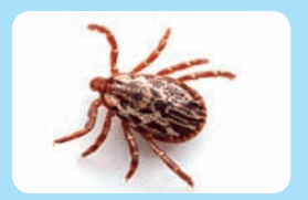 0602b2cn-8500-279x181.png
