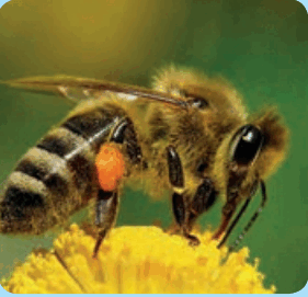 0602b2f0-f311-281x271.png