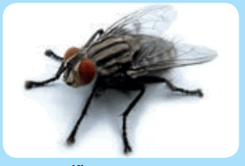 0602b2m9-a0a9-271x184.png