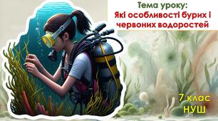 Презентація з біології для учнів 7 класу НУШ. Тема уроку: Які особливості бурих і червоних водоростей.