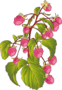 0602bas3-b643-88x128.png